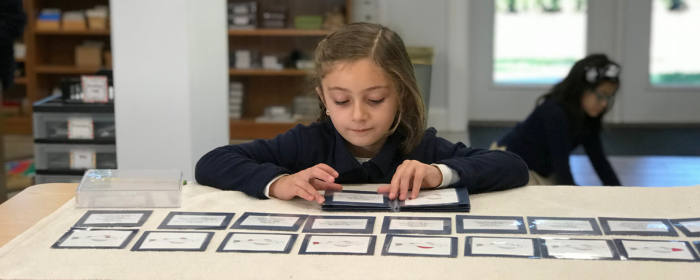 an elementary student practicing nomenclature cards by matching the photo of a part of a fish with the name and the definition
